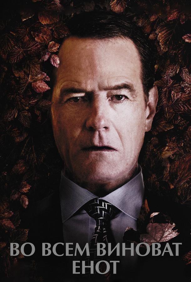 Фильм Во всем виноват енот (2016) смотреть онлайн в хорошем качестве